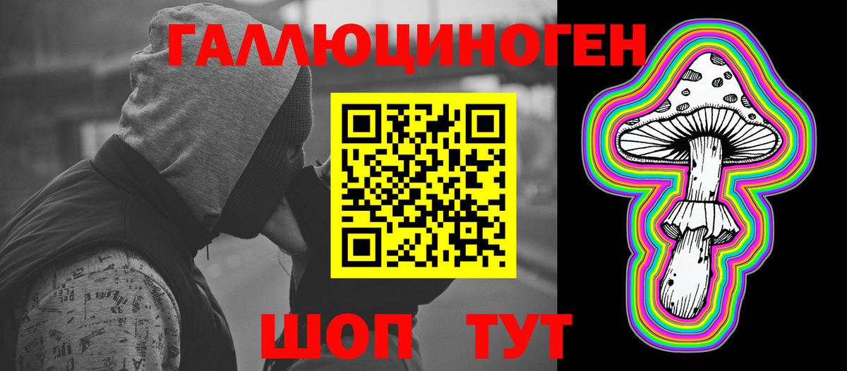 Псилоцибиновые грибы Psilocybe  Вход с VPN  Кимовск 